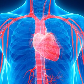 Mejora de la salud vascular